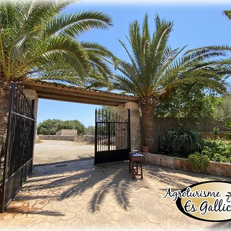 קמפוס Agroturismo Es Gallicant מראה חיצוני תמונה